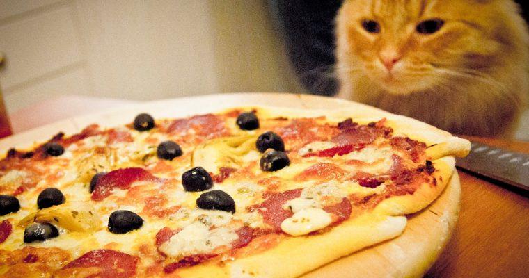 Pizza Il gatto con gli stivali
